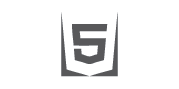 CUSTOM WEB DESIGNING